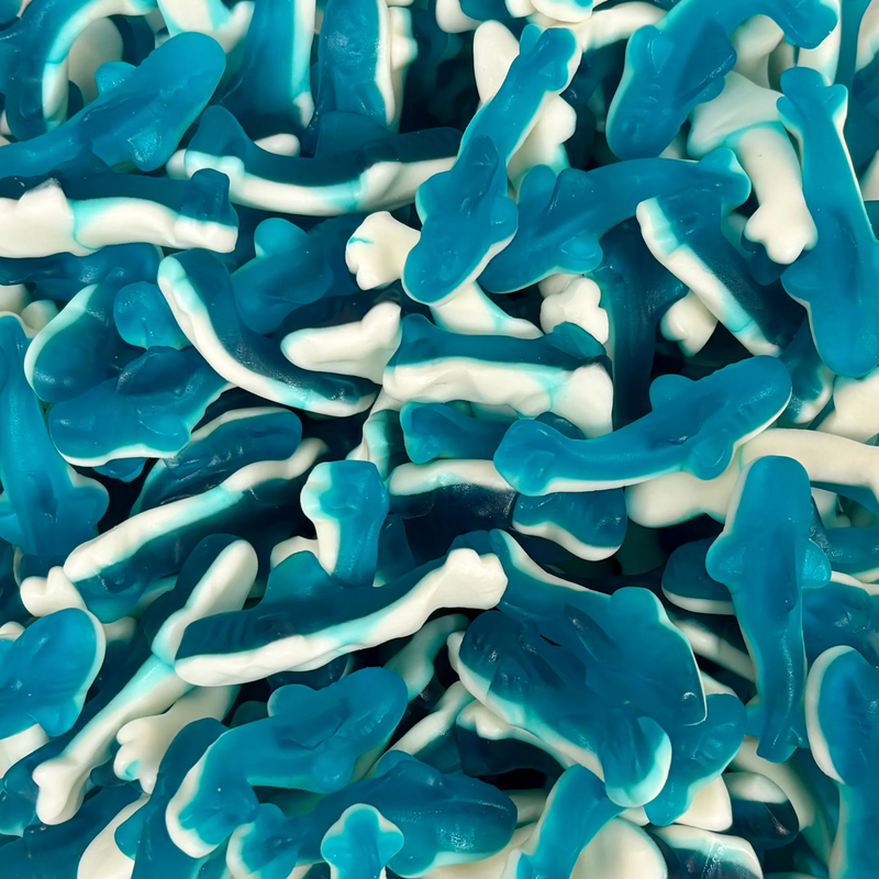 Blue Raspberry Sharks
